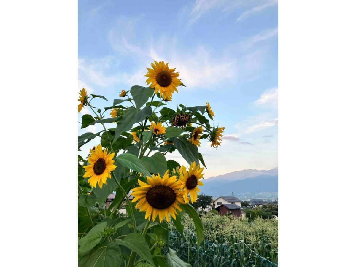 Longhillsecoguesthouse&Cafe - Vacation Stay 24885V Ome Екстериор снимка